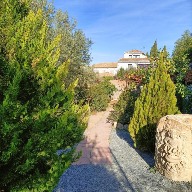 Nasrid Sky - Apartamentos con terraza y vistas a la Alhambra - Albaicín - Apartment with Terrace - 14