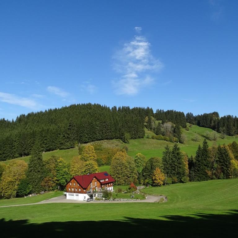 Ferienwohnung Böck, Wengen im Allgäu - Apartment mit 1 Schlafzimmer - 2