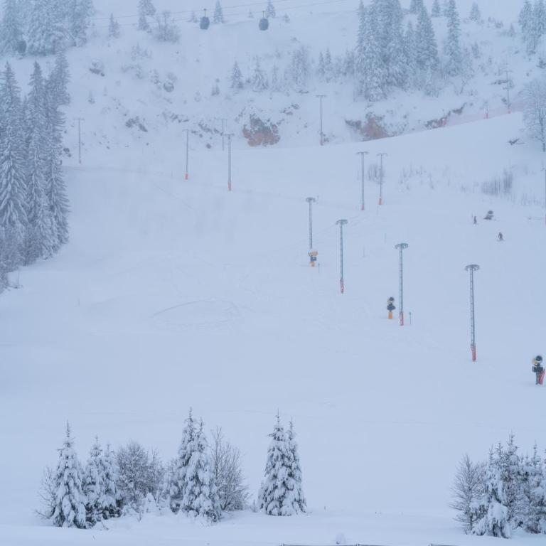 Apartman Snow Valley Jahorina - One-Bedroom Apartment - 45