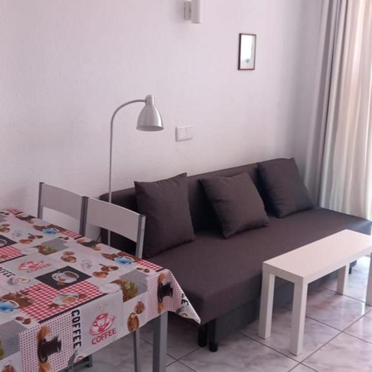 EL CHAPARRAL Studio-appartement with fantastic pool- view and STRONG WIFI - Apartamento con terraza - 7