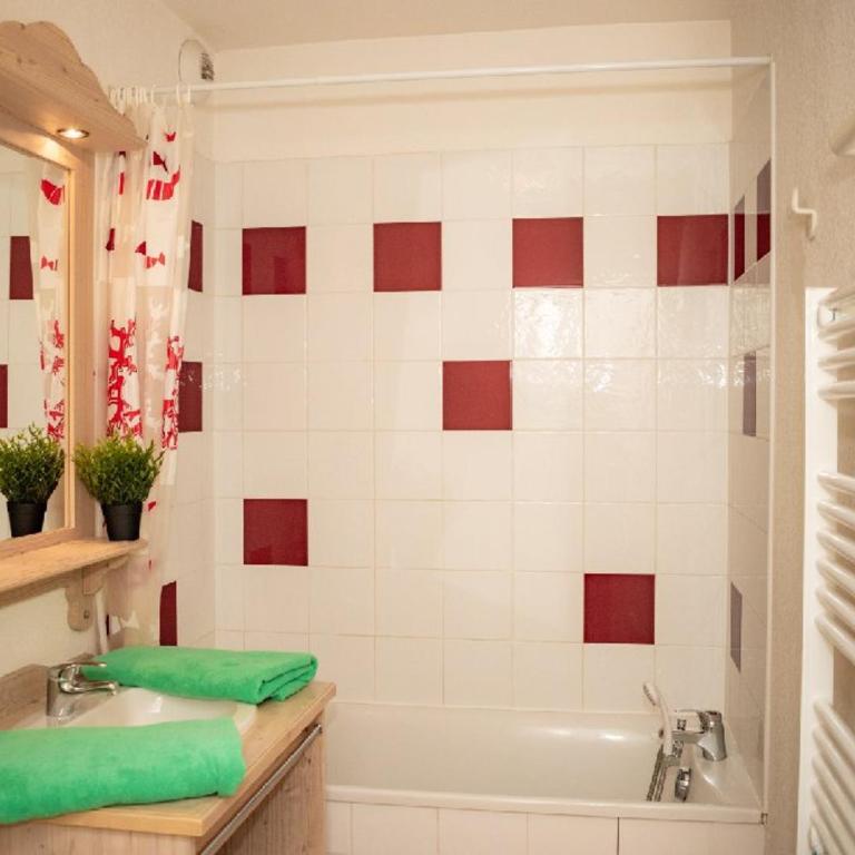 Studio 4 Pers avec Balcon et Parking, Puy-Saint-Vincent - Studio - 5