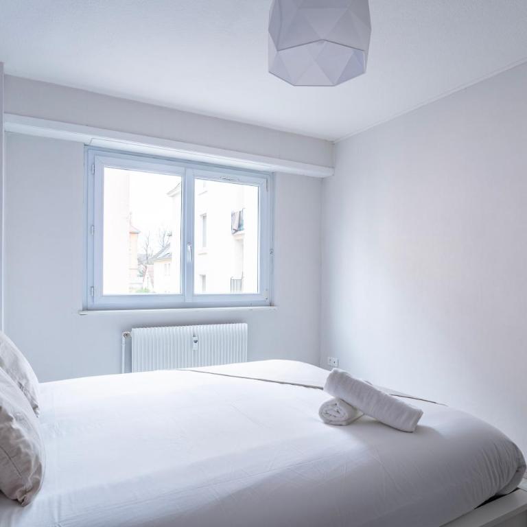Le Lys - Calme à 5 min tram, proche centre Stras - Appartamento con 1 Camera da Letto - 23