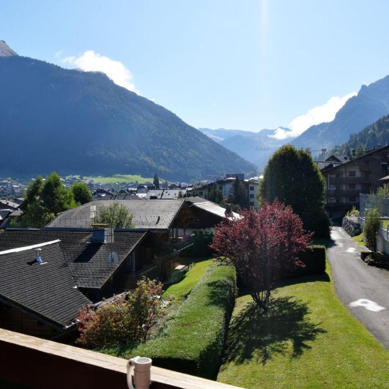 Studio confortable proche centre de Morzine pour 4 pers. - FR-1-524-5 - Studio - 3