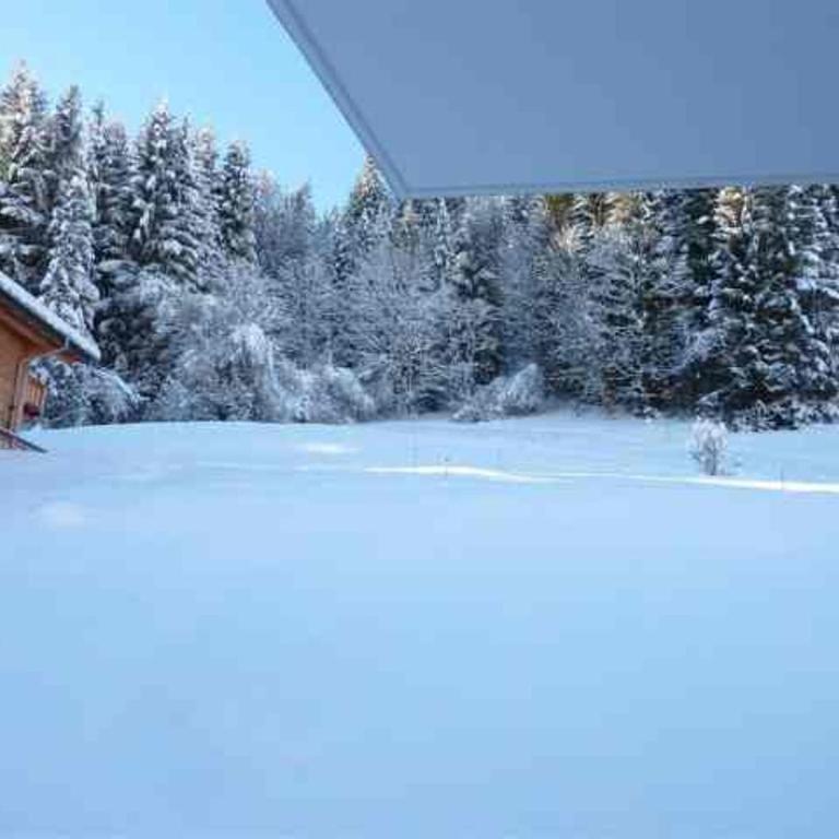 Appartement 3 pièces, Morzine, animaux admis, parking privé - FR-1-524-34 - Appartement (6 Adultes) - 5