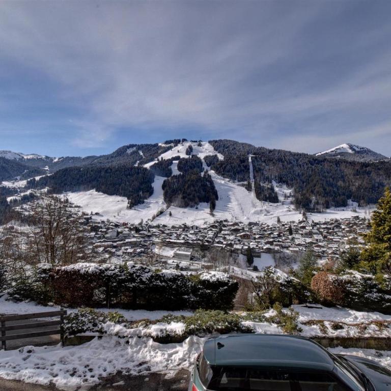Appartement lumineux avec vue, pour 4 personnes à Morzine - FR-1-524-75 - Apartment (4 Erwachsene) - 10