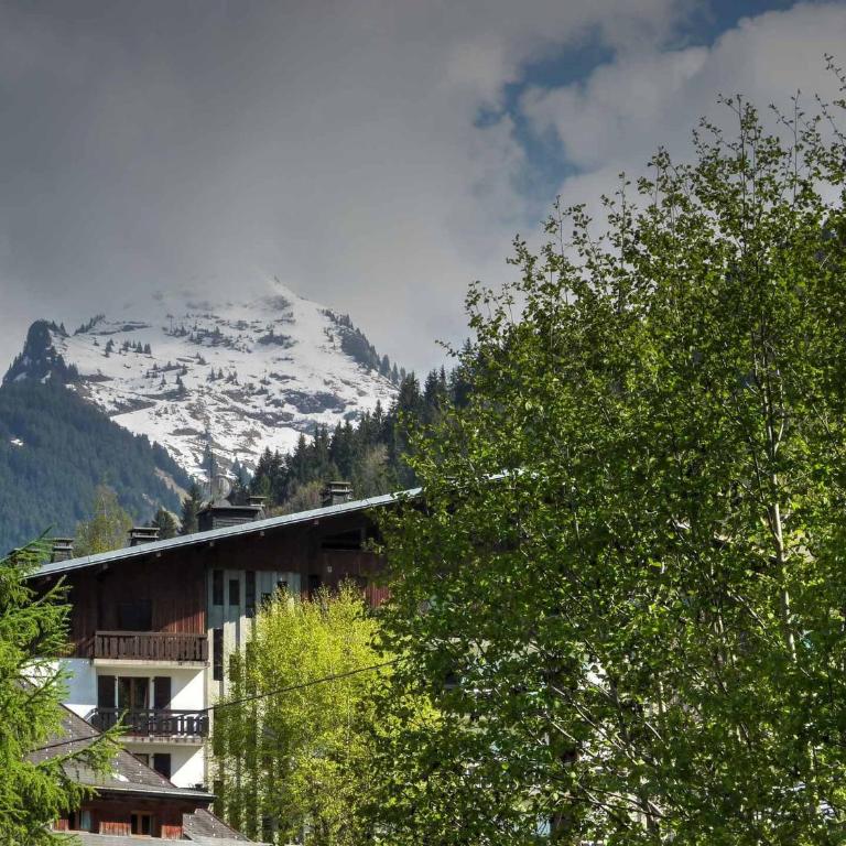 Studio-Duplex 6 Pers à Morzine, Parking Inclus - FR-1-524-39 - Studio - 7