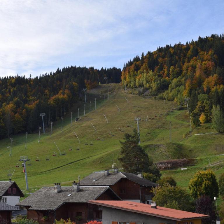 Studio confortable pour 4 pers. au centre de Morzine, animaux acceptés - FR-1-524-54 - Studio - 6