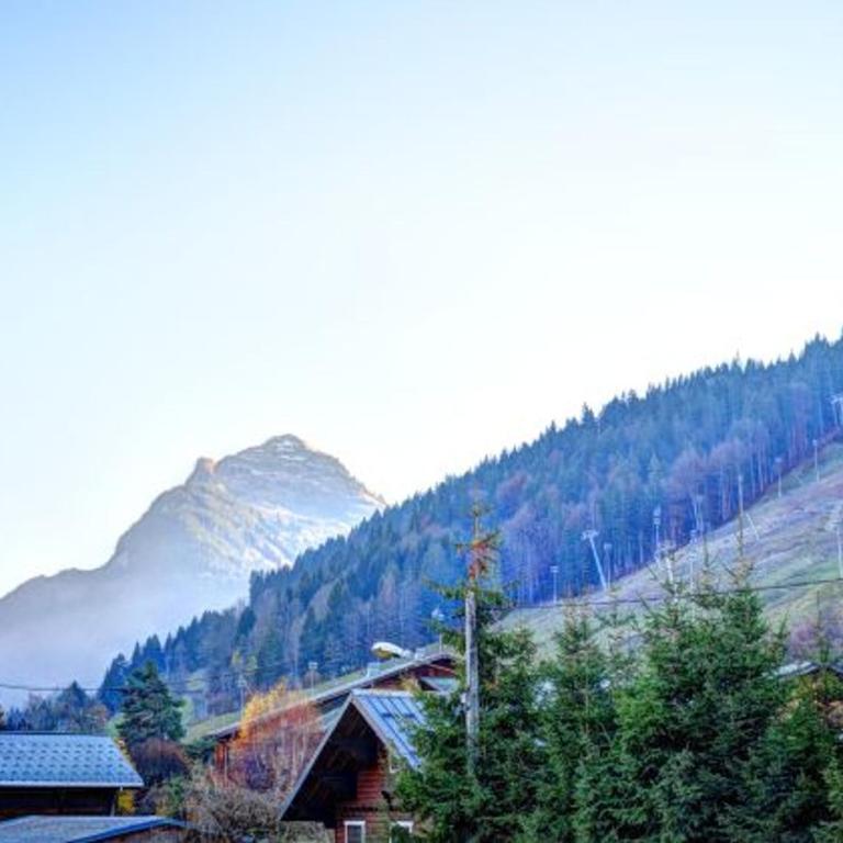 Studio rénové proche centre Morzine, pour 4 personnes - FR-1-524-83 - Monolocale - 6
