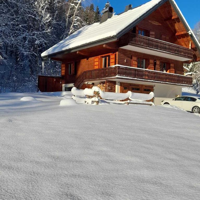 Chalet calme à Abondance, 4 chambres, cheminée - Chalet 3 Chambres - 1
