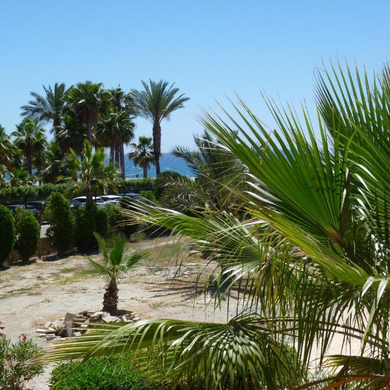 Apartamento naturista en urbanización naturista en primera línea del mar y de la playa naturista de Vera - Appartement - Rez-de-Chaussée - 4