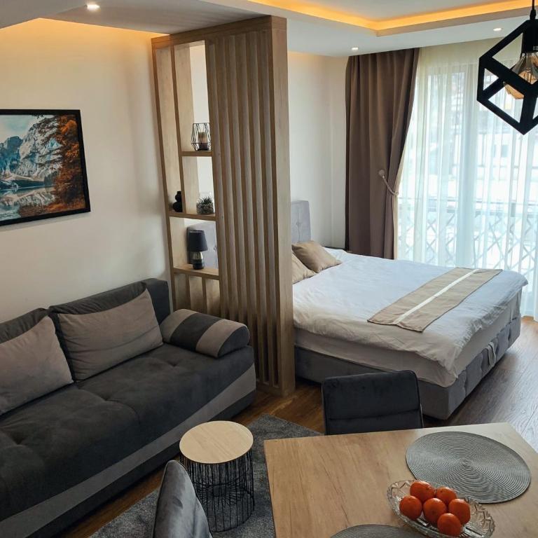 FIONA Kopaonik - Apartman sa 1 Spavaćom Sobom - 2