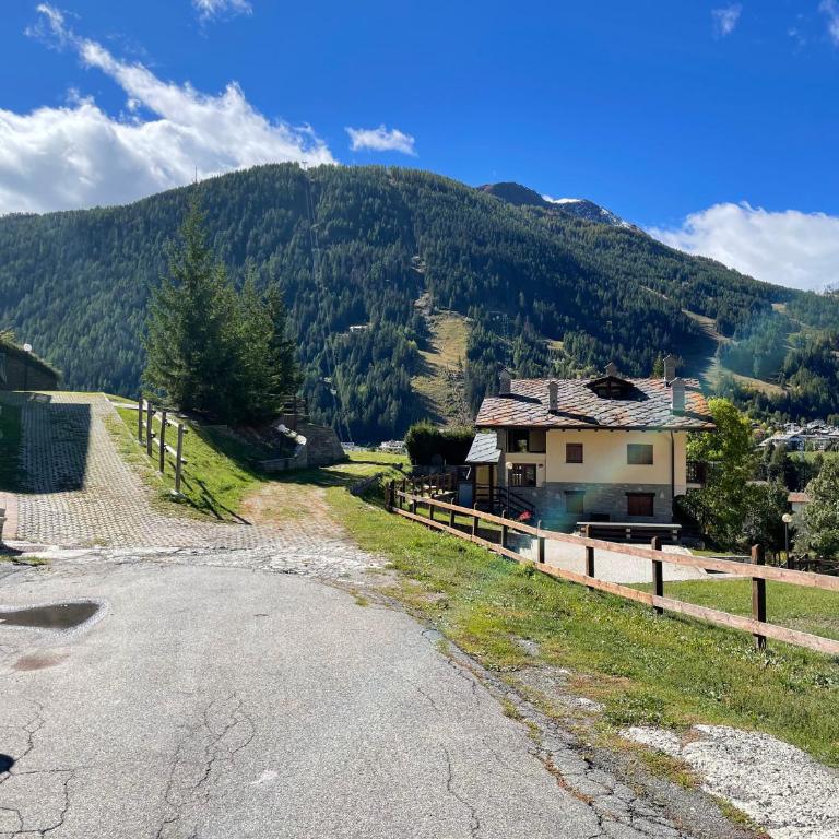 Appartamento montano - Apartamento de 2 dormitorios - 34