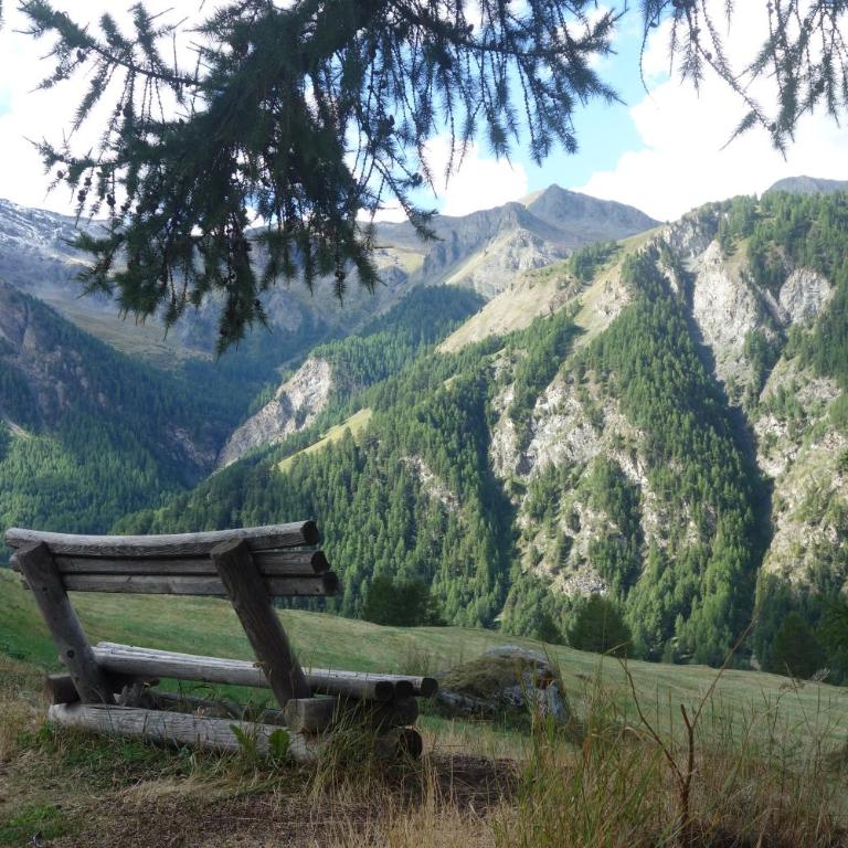 Appartement avec vue à Molines au coeur du Queyras - Two-Bedroom Apartment with Mountain and River View - 25