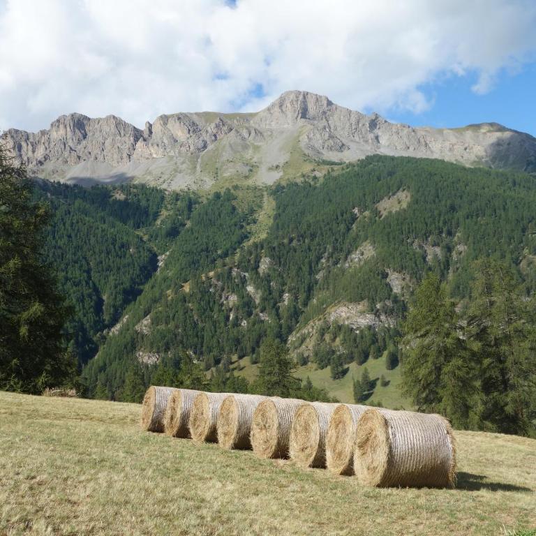 Appartement avec vue à Molines au coeur du Queyras - Two-Bedroom Apartment with Mountain and River View - 28