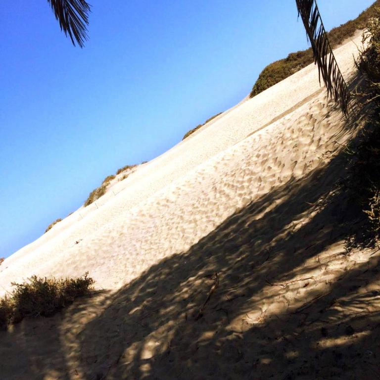 Cozy Bungalow Maspalomas Green - One-Bedroom Apartment - 43