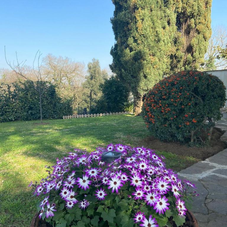 Villa Del Rubbio - Villa con 2 Camere da Letto - 23