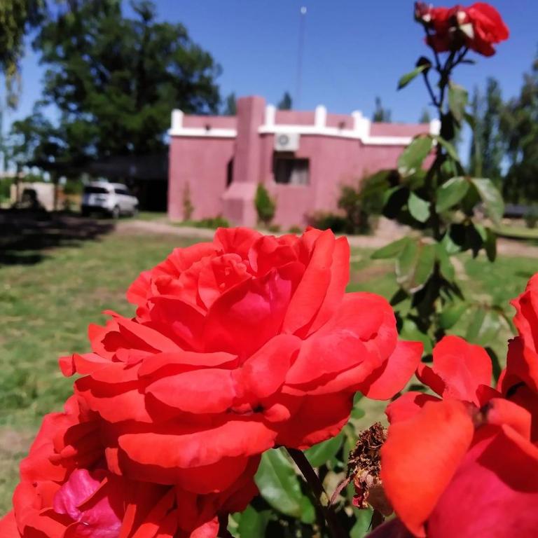 Finca La Codiciada - Casa de 4 dormitorios - 31