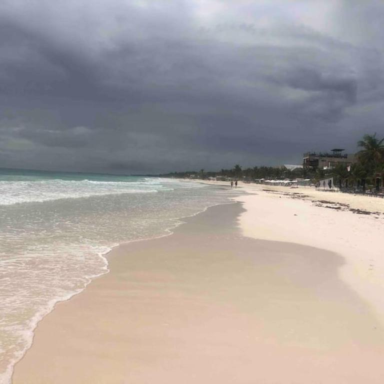 Near Beach+Jungle Views. King bed+220 megs+2 bikes - Apartamento de 1 dormitorio - 38