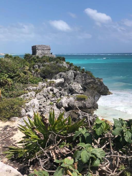 Near Beach+Jungle Views. King bed+220 megs+2 bikes - Apartamento de 1 dormitorio - 36