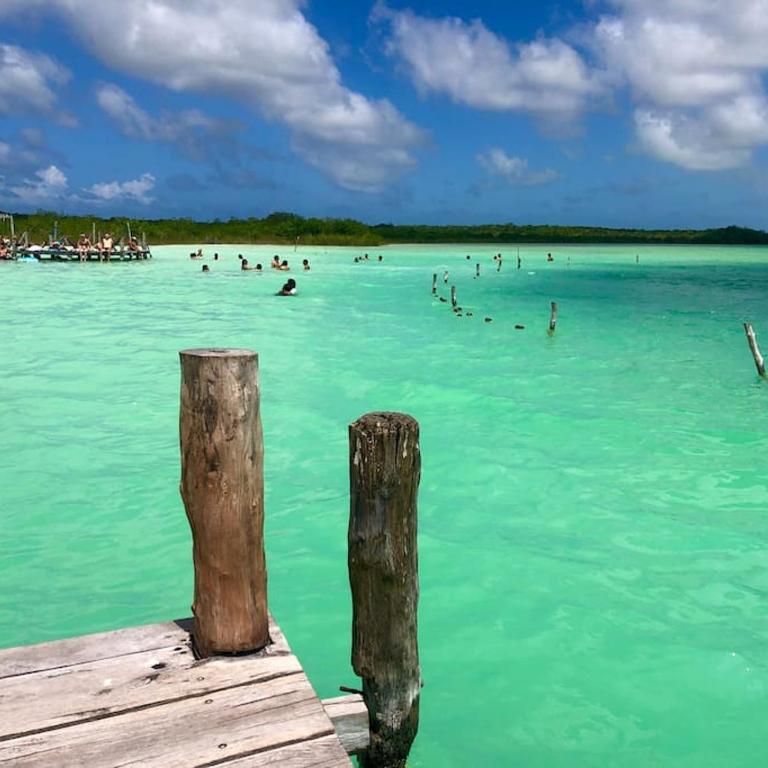 Near Beach+Jungle Views. King bed+220 megs+2 bikes - Apartamento de 1 dormitorio - 44