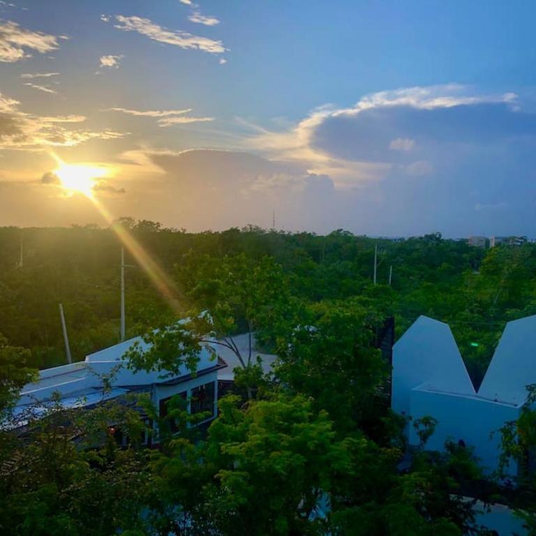 Near Beach+Jungle Views. King bed+220 megs+2 bikes - Apartamento de 1 dormitorio - 17