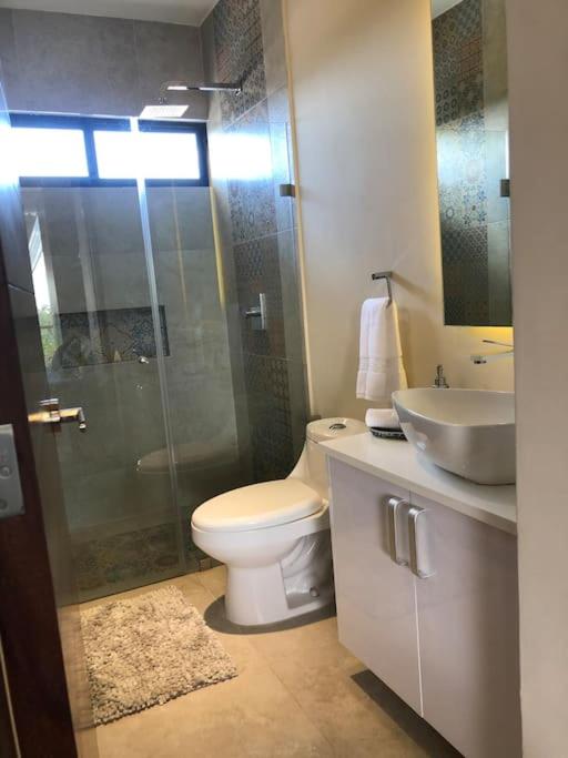 Near Beach+Jungle Views. King bed+220 megs+2 bikes - Apartamento de 1 dormitorio - 12