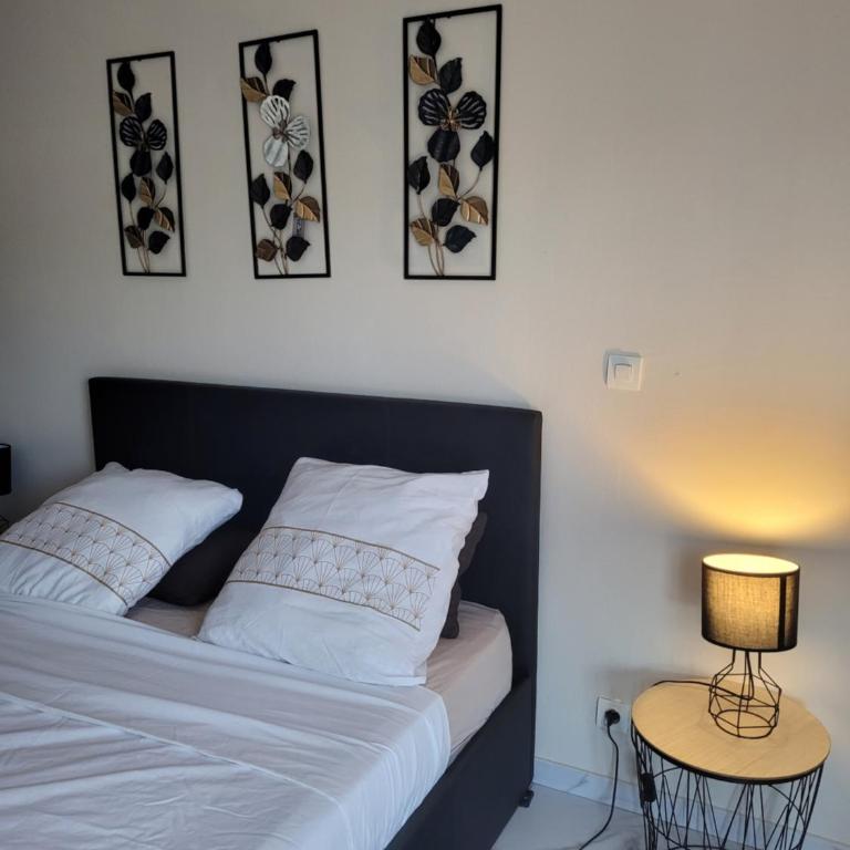 Jolie t4 a l'esplanade lez wifi - Apartment mit 3 Schlafzimmern - 6