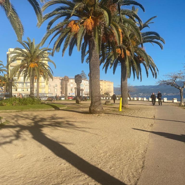 Studio neuf et lumineux - Ajaccio centre - Place Miot/Albert 1er - Appartement 1 Chambre - 19