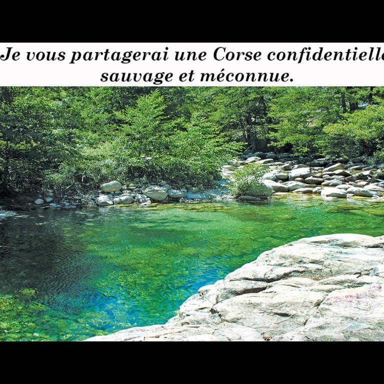 Locations "ChezChristine Pianelli" à Porto-Vecchio - Apartamento de 2 dormitorios - 3