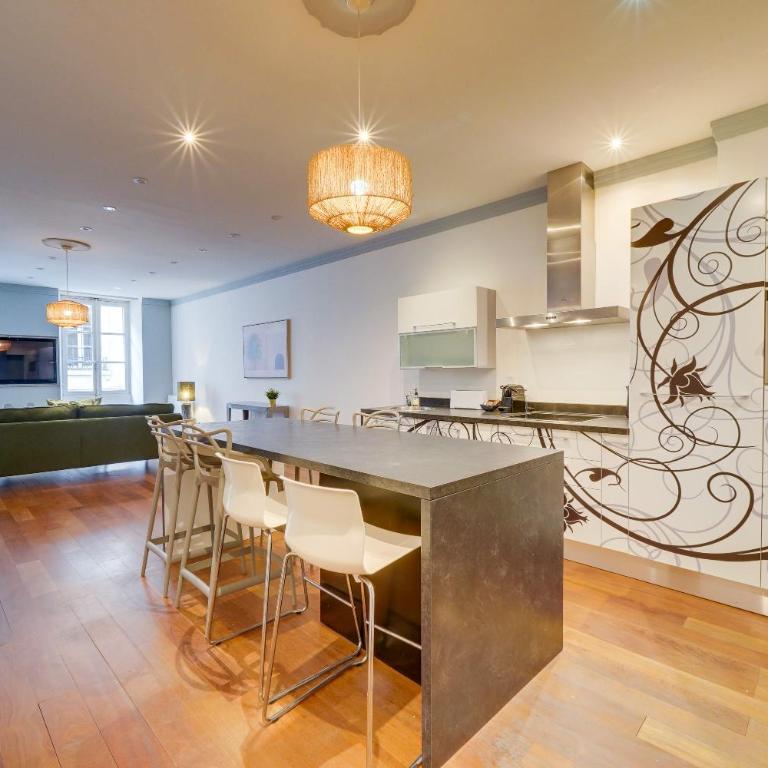 LE FRANKLIN - Magnifique T2bis - Place des Grands Hommes - One-Bedroom Apartment - 2