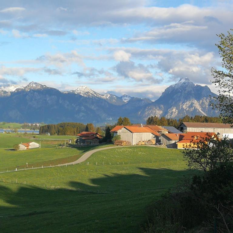 Haus Hopfenseeblick - Apartment mit Blick auf die Berge - 20
