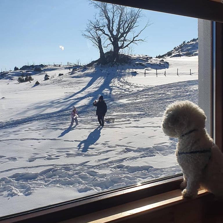 Holiday Home Vile Calimero - Three-Bedroom House - 13