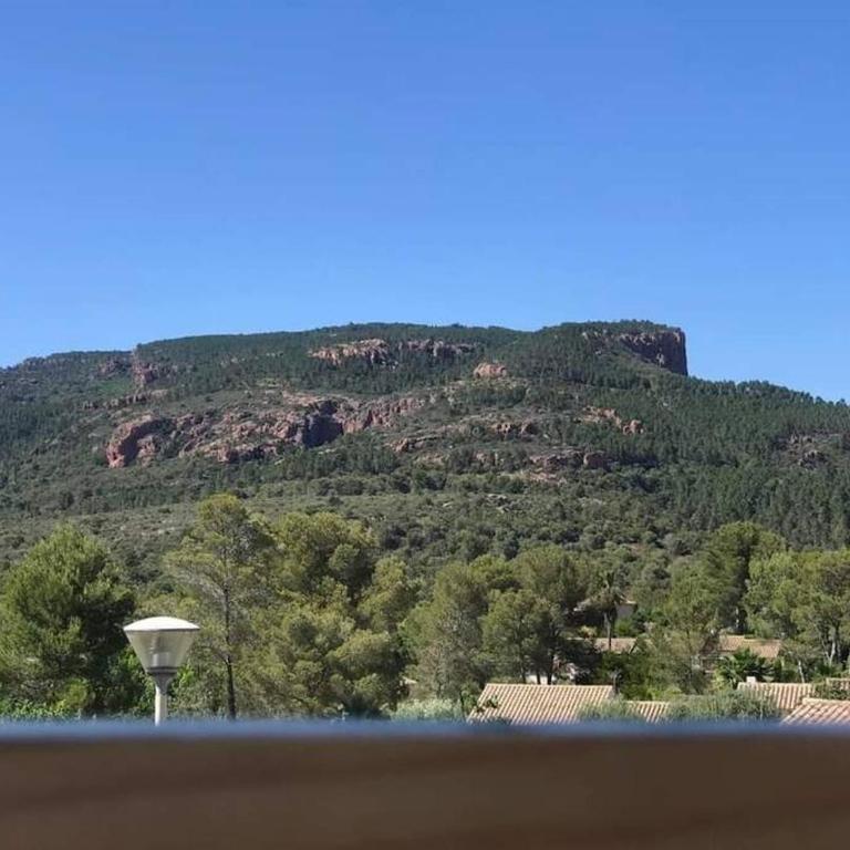 Au pied des gorges du blavet et à 20min des plages - Apartamento de 1 dormitorio - 15