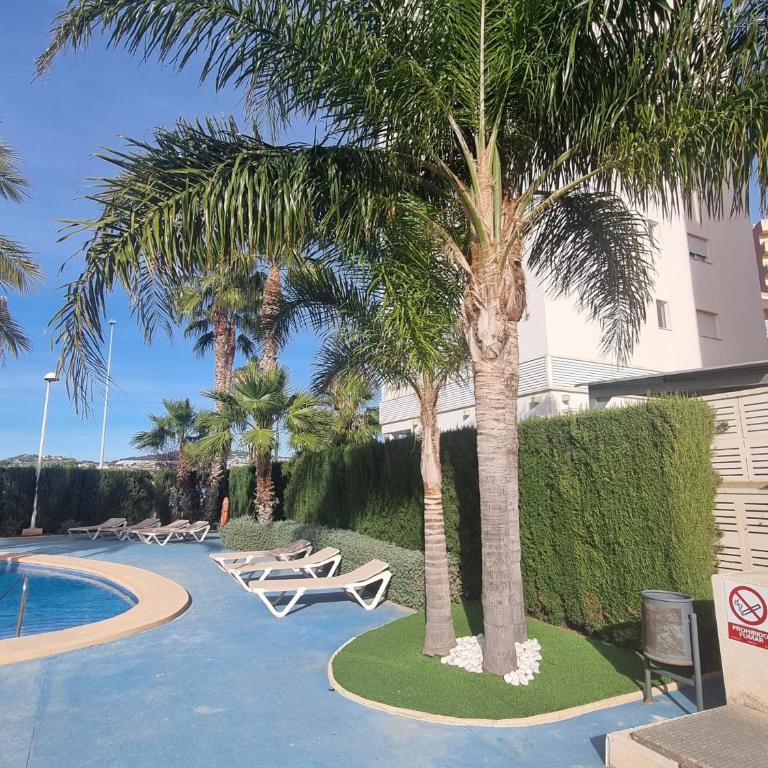 casito rico - Apartment with Sea View - 29