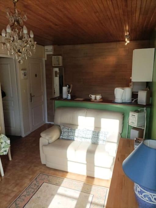 2 pièces à St Martin Vésubie proche activités - Appartement 1 Chambre - 4