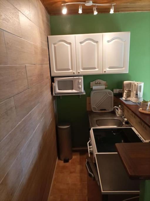 2 pièces à St Martin Vésubie proche activités - Appartement 1 Chambre - 6