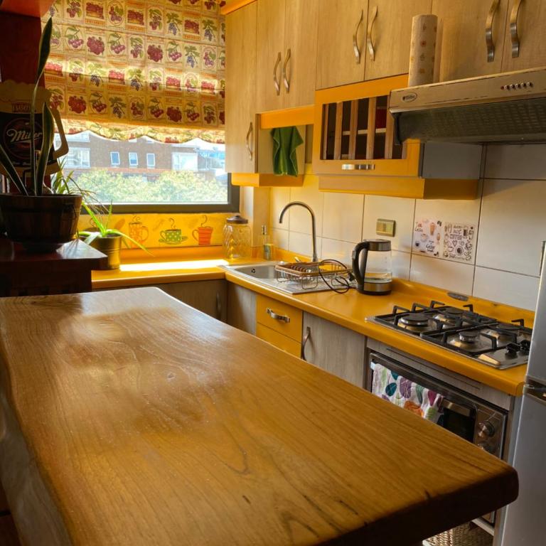 Centro de Temuco Depto único, rústico y a pasos de todo Incluye estacionamiento - Apartamento de 1 dormitorio - 4
