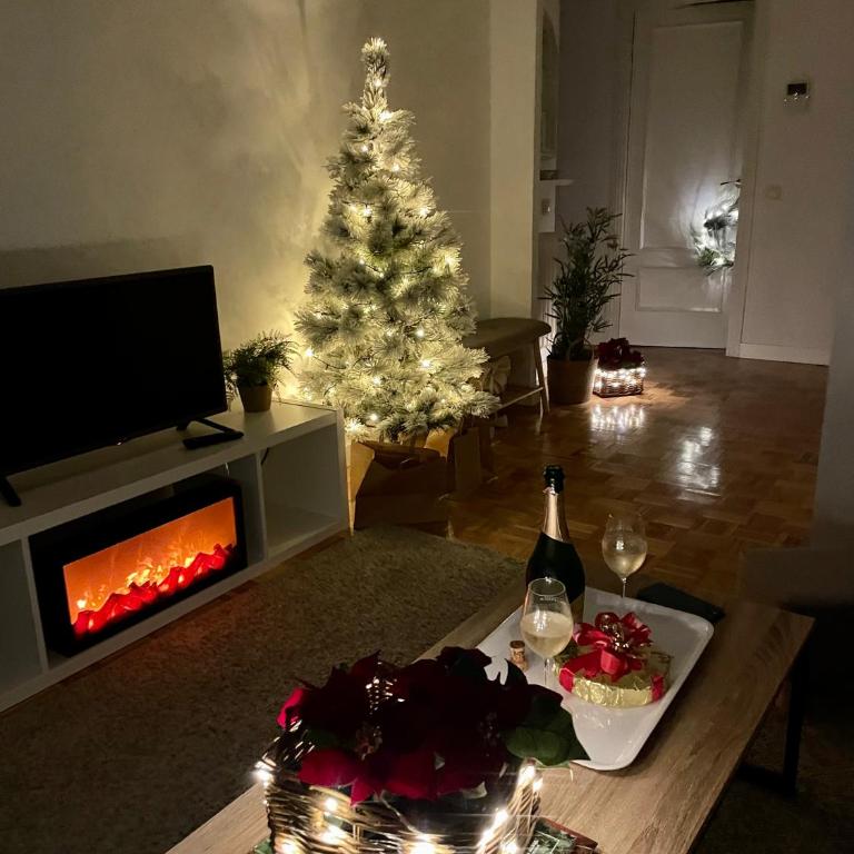Oviedo Historico WiFi & Parking Gratuito - Apartamento de 3 dormitorios - 20