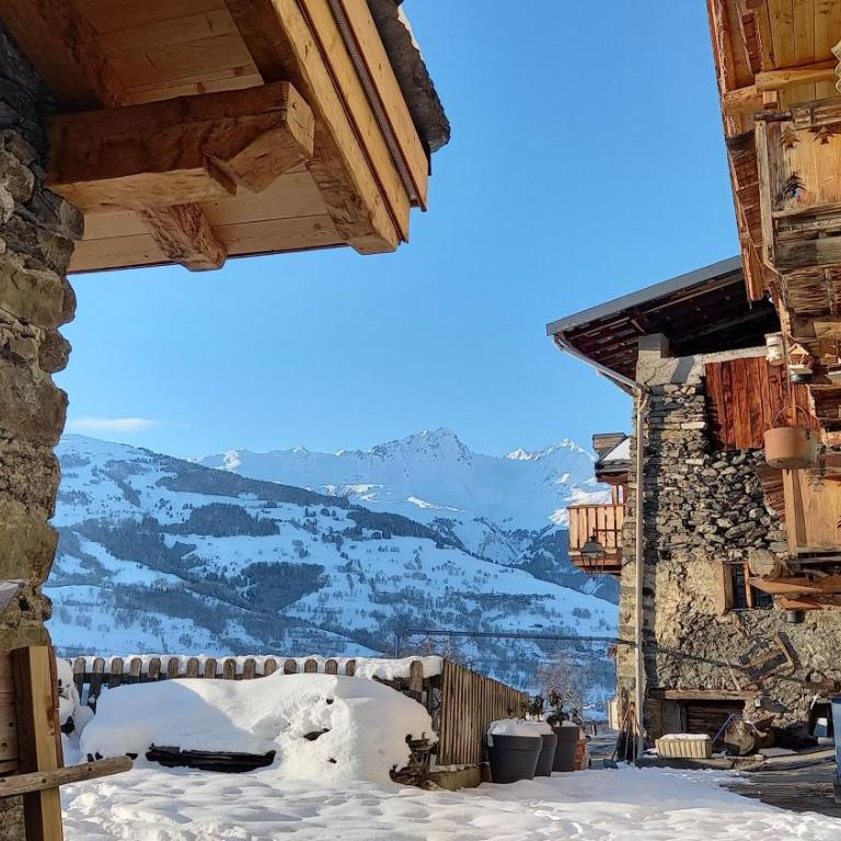 Bourg Saint Maurice Les Arcs - maisonnette grand confort dans charmant village de montagne ! - Chalet 1 Chambre - 3