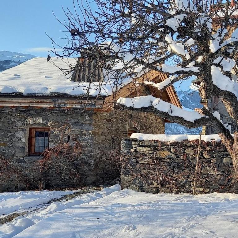 Bourg Saint Maurice Les Arcs - maisonnette grand confort dans charmant village de montagne ! - Chalet 1 Chambre - 6