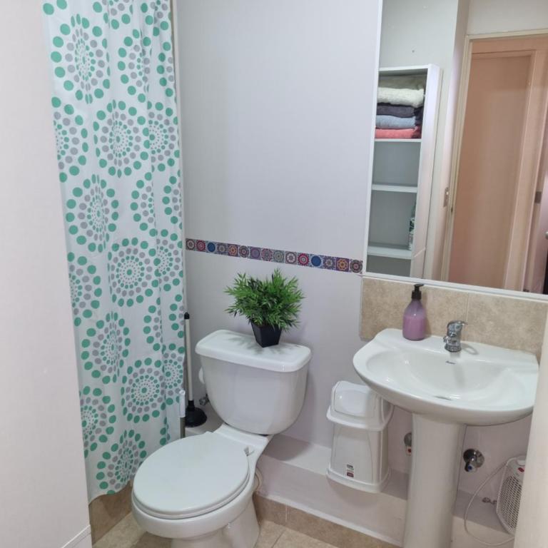 Departamento amoblado Segunda Faja al volcán 3 dormitorios - Apartamento de 2 dormitorios - 13