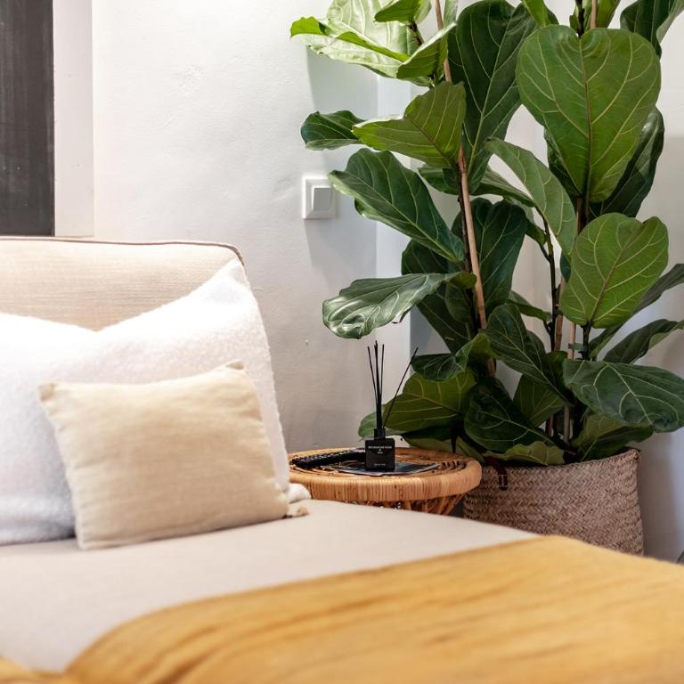 Apartmento Nobu - Apartamento de 2 dormitorios - 14