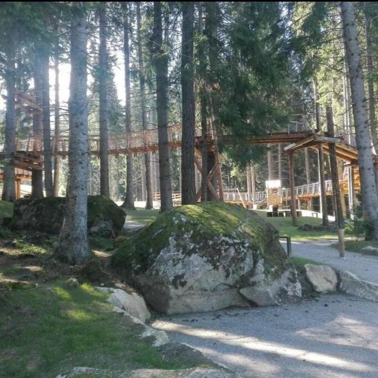 Home Vetta Bianca Le Volpi Marilleva 1400 - Apartment mit 2 Schlafzimmern - 26