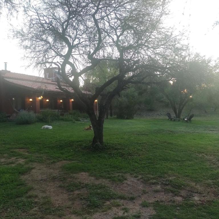 La Morada, imperdible Casa de Campo en La Matilde - Chalet Superior - 68