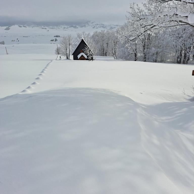Vila Durmitor Nest Krstajic - Three-Bedroom House - 14