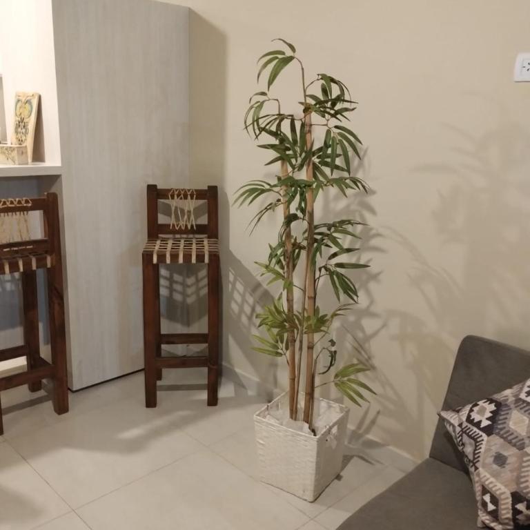 Aires del Sur - Apartamento de 1 dormitorio - 32
