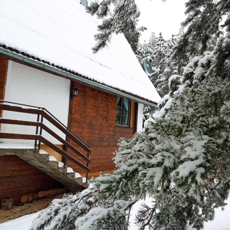 vila Borova glava - Two-Bedroom Villa - 4