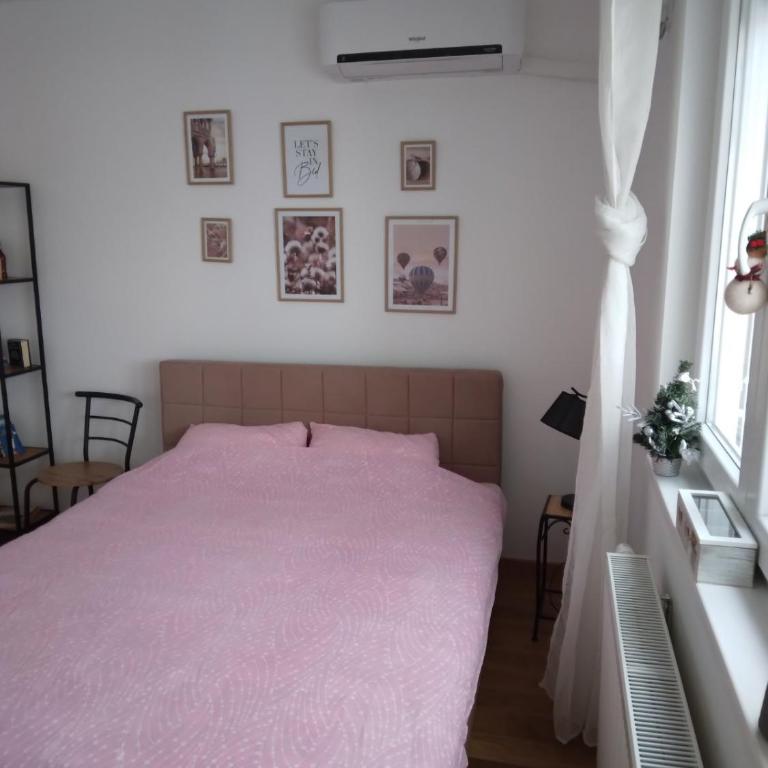 Studio apartman Promenada - Apartment with Balcony - 7