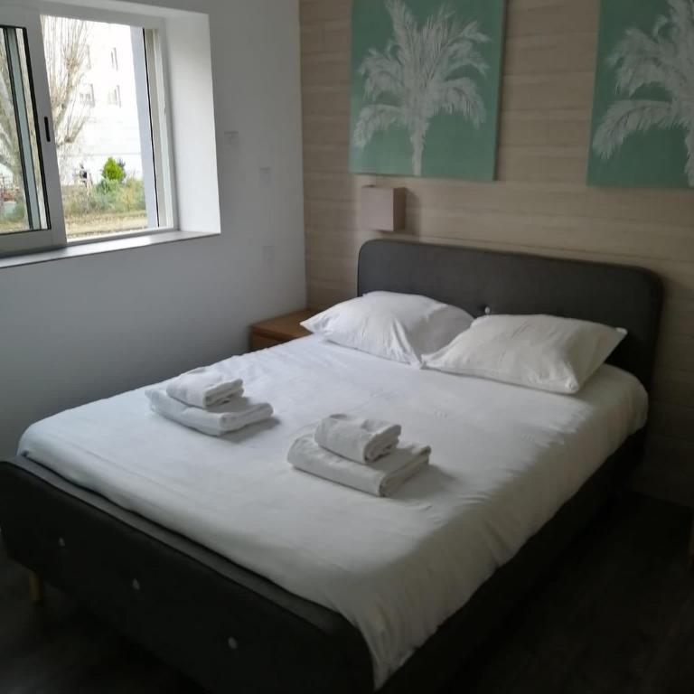 Maison toute équipée 3 chambres avec jardin calme et Spa - Maison 3 Chambres - 5