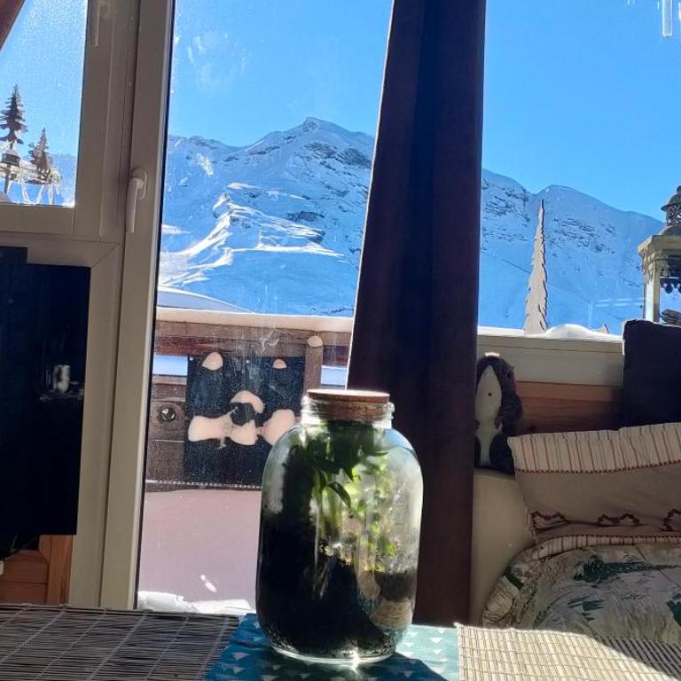 Avoriaz cocooning - Appartement 2 Chambres - 14